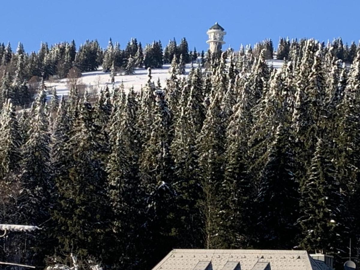 Apartamento H&P Touristik Residenz Grafenmatt Gra-3-1 Feldberg  Exterior foto